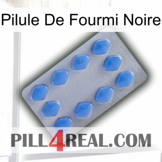 Black Ant Pill 21